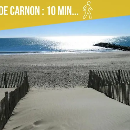 Azur ,5 Min -5 Min Arena - Clim - Parking Gratuit Privee - 4 Personnes